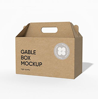 Boxes with Handle
